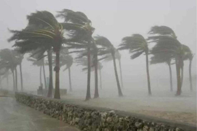 Lindungi Diri dari Angin Kencang: Tips Aman yang Perlu Diketahui