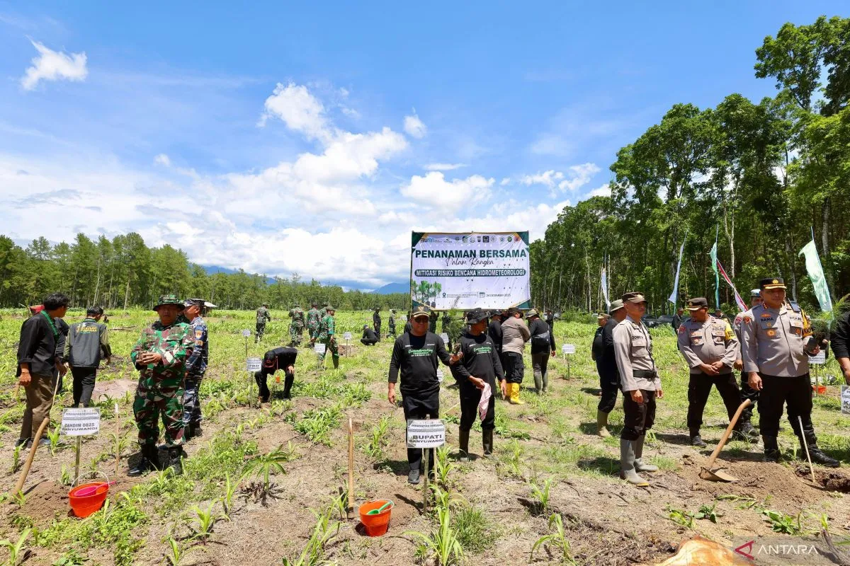 Pemkab Banyuwangi Gandeng Perhutani Tanam 200 Ribu Pohon untuk Reforestasi Hutan
