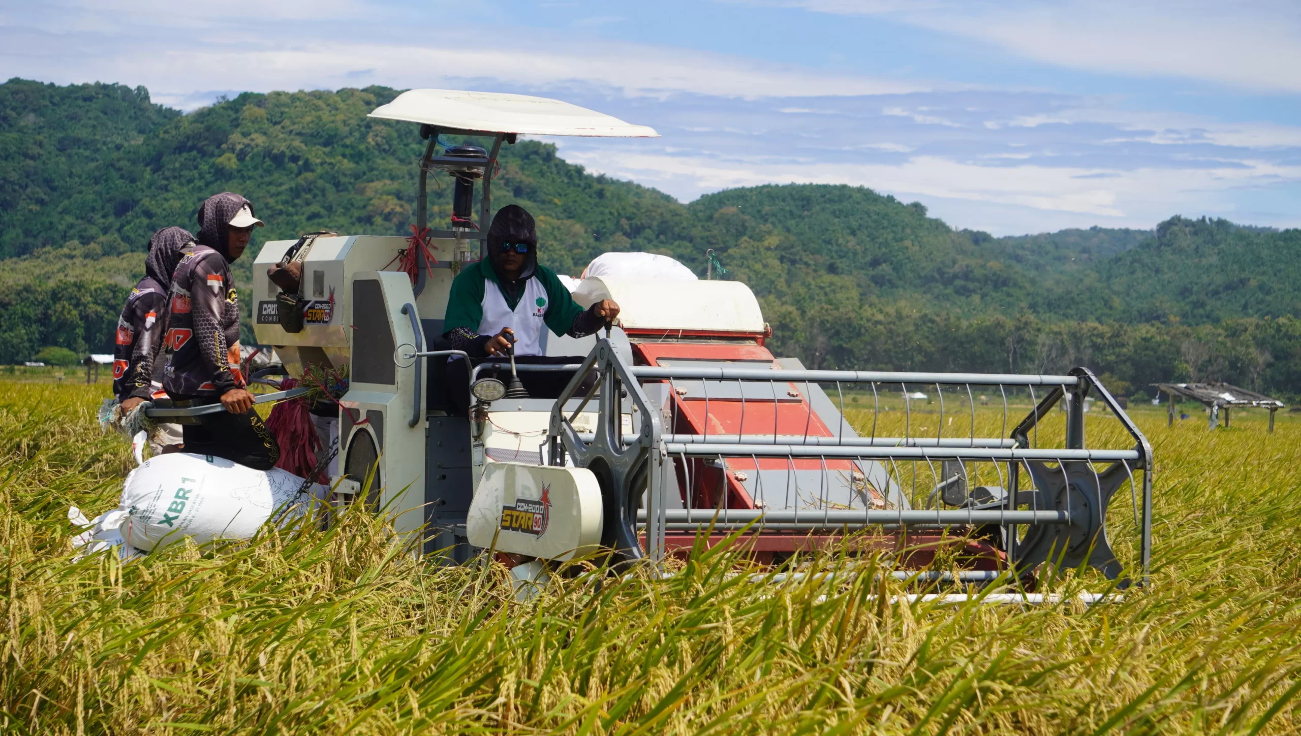 Petani Beralih ke Mesin Panen, Biaya Produksi Makin Efisien