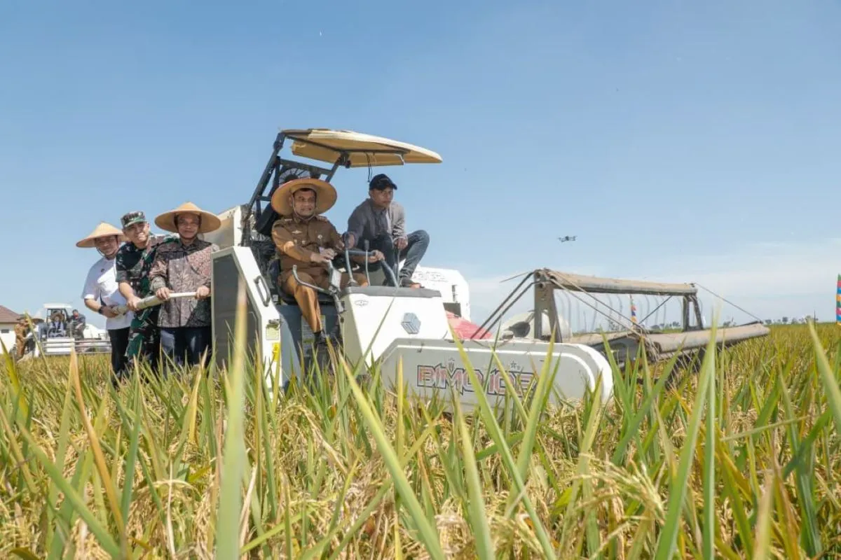 Produktivitas Pangan Jateng 2025 Sukses Capai Target Nasional