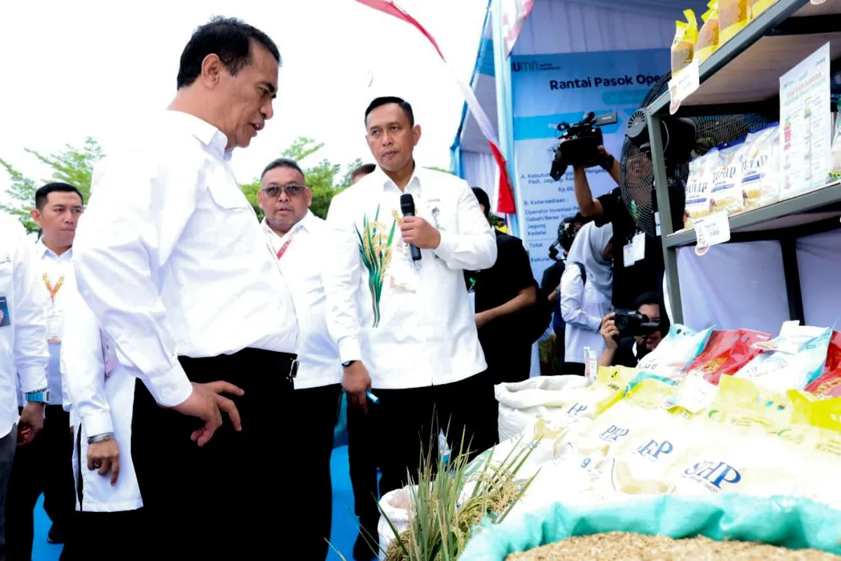 Bulog Maksimalkan Penyerapan Gabah Demi Kawal Swasembada Pangan