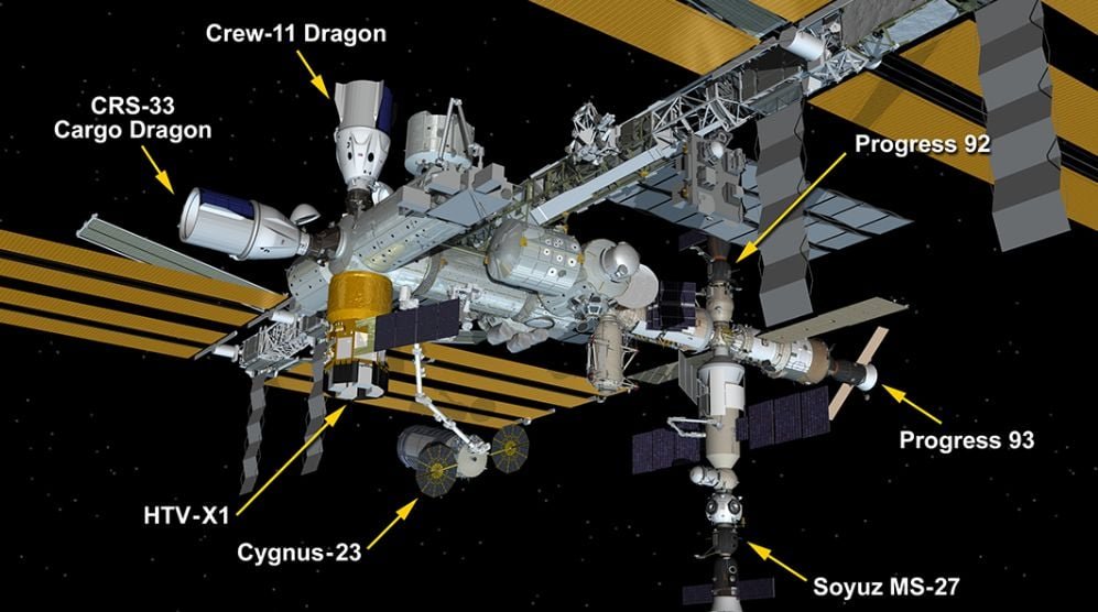 NASA Konfirmasi Crew-11 Kembali ke Bumi Januari 2026, Ini Jadwal Lengkapnya.