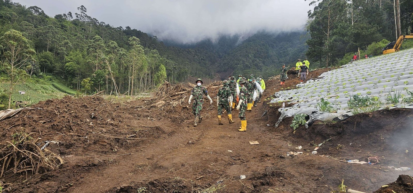 Operasi Basarnas di Cisarua Masuki Hari Ke-12, Tim Gabungan Perluas Area Pencarian