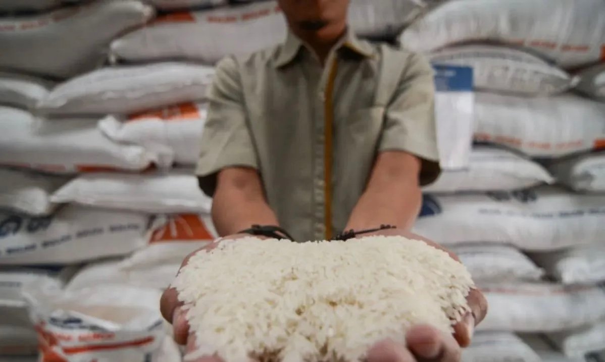 BPS: Cabai dan Beras Jadi Pemicu Utama Perubahan Harga di Wilayah Bencana