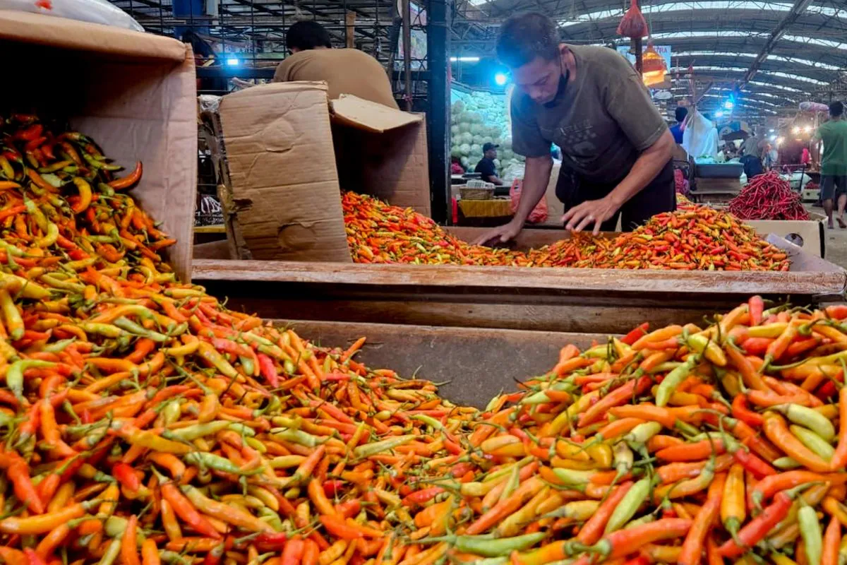 Kementan Pastikan Blitar dan Kediri Pasok Kebutuhan Cabai Nasional Selama Ramadhan