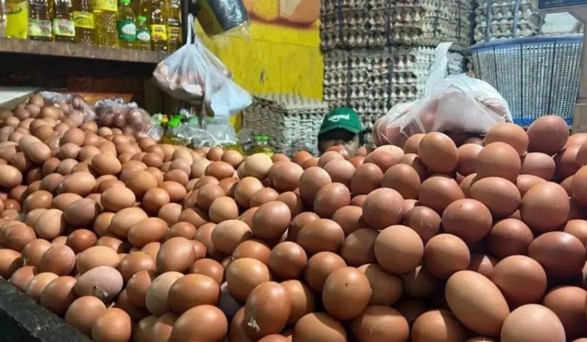 BPS: Harga Telur Ayam Naik di 210 Daerah, Papua Tembus Rp57 Ribu per Kg