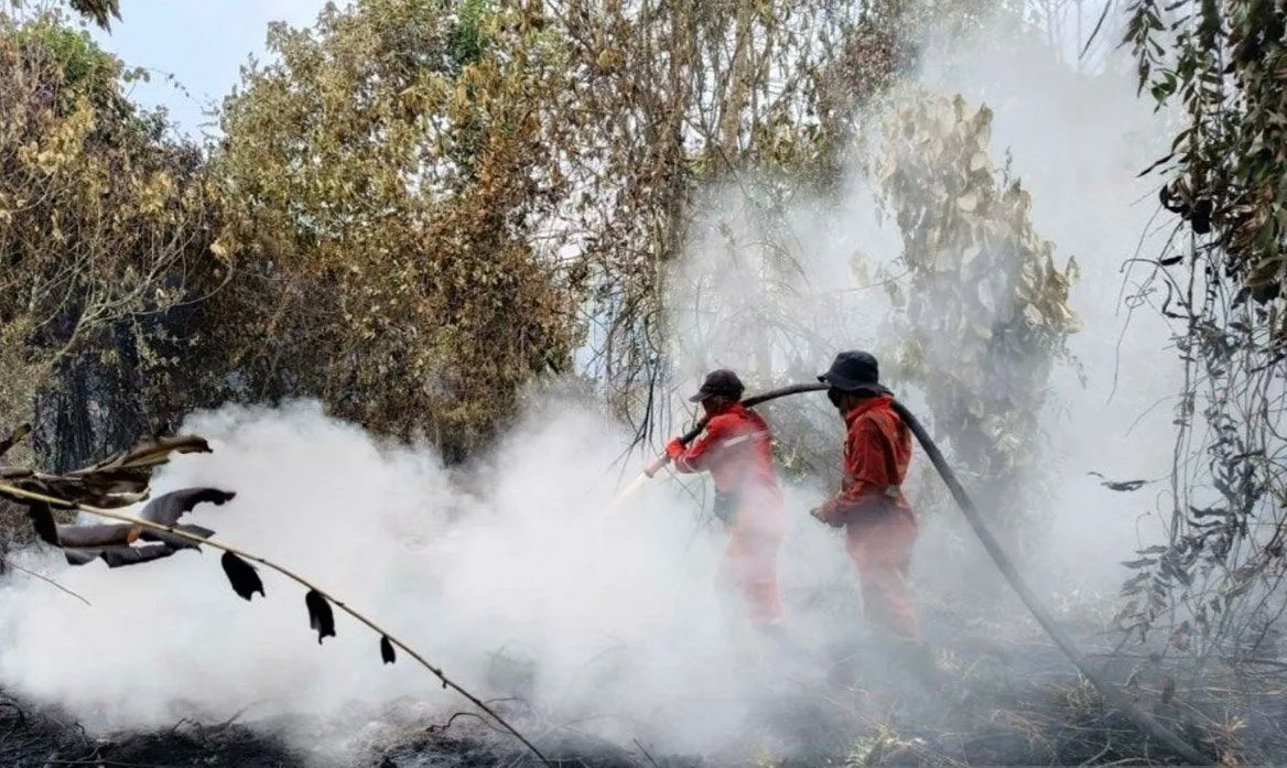 Karhutla 15 Hektare Landa Kampar, Tim Gabungan Berjibaku Padamkan Titik Api