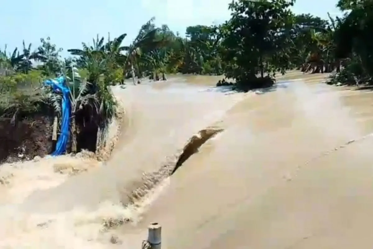 Demak Kembali Dilanda Banjir, Tanggul Sungai Tuntang Jebol