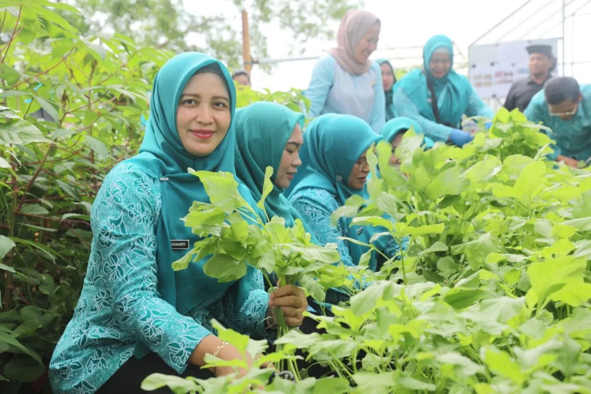 Kepulauan Seribu Optimalkan Lahan Terbatas Lewat Hidroponik untuk Stok Pangan