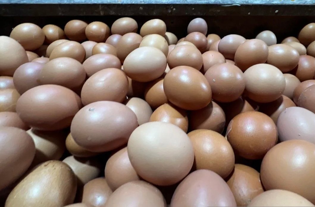 Update Harga Pangan Sabtu: Telur Ayam Rp29.750 per Kg, Bawang Merah Rp50.950 per Kg