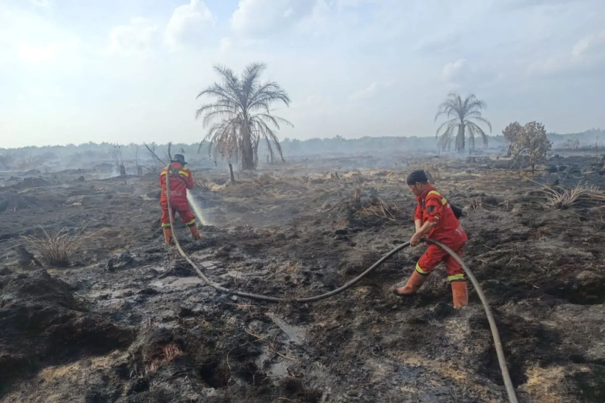 Manggala Agni Berhasil Padamkan Karhutla 7,5 Hektare di Rokan Hilir Riau