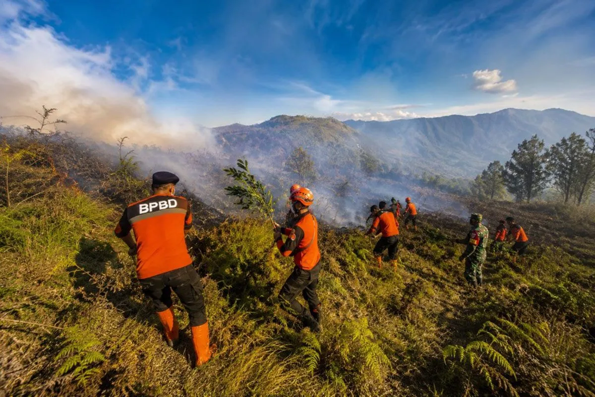 Karhutla Melanda Kawasan Wisata Bromo, BPBD Lumajang Turunkan Tim Reaksi Cepat