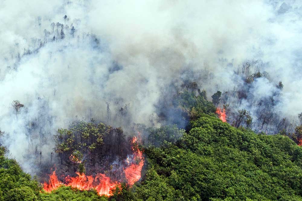 Karhutla Kalimantan, 12.880 Personel Gabungan Dikerahkan untuk Pemadaman