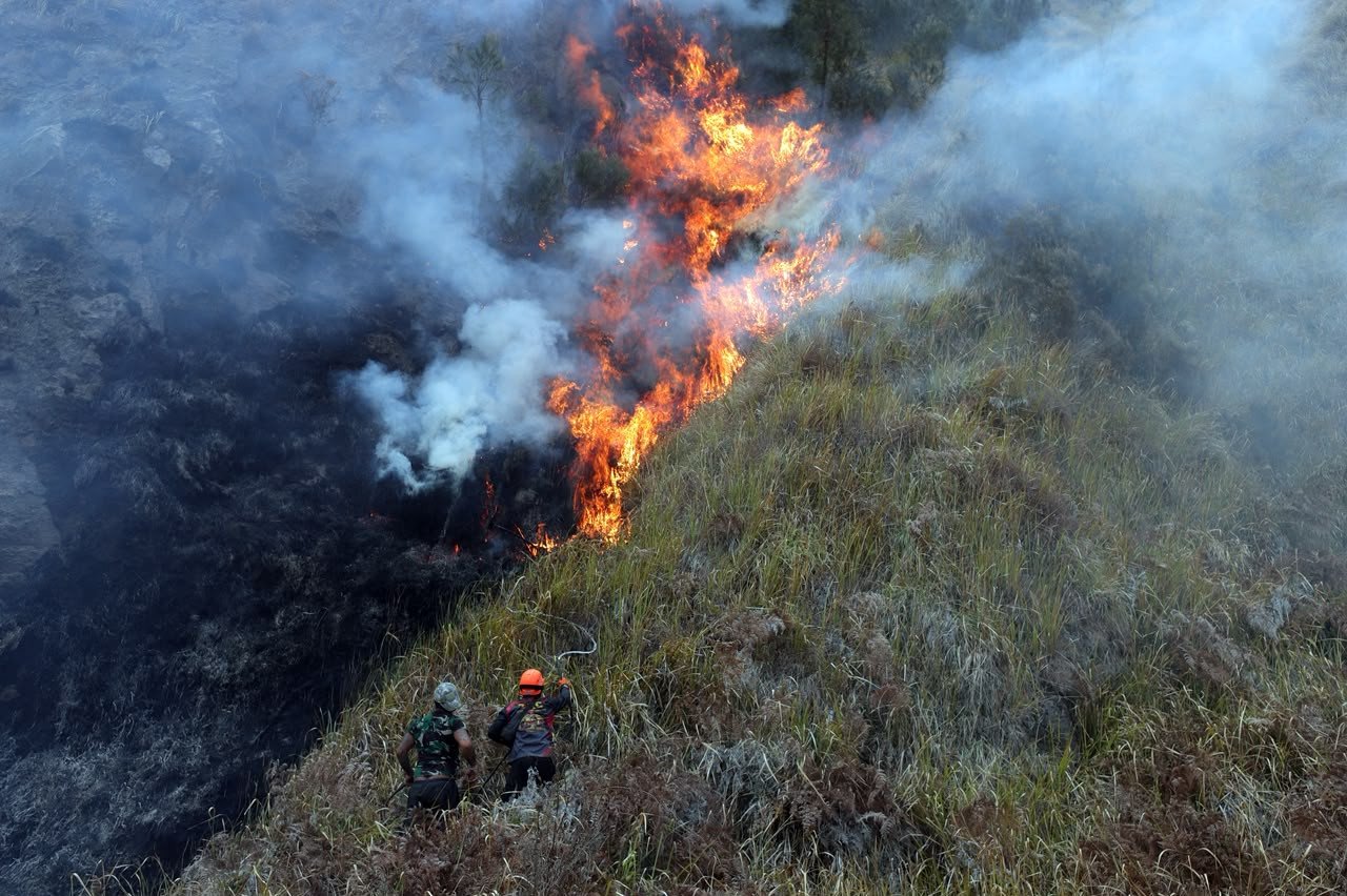 Petugas Tangani Karhutla Gunung Semeru di 7 Titik, Pemadaman Terus Dilakukan