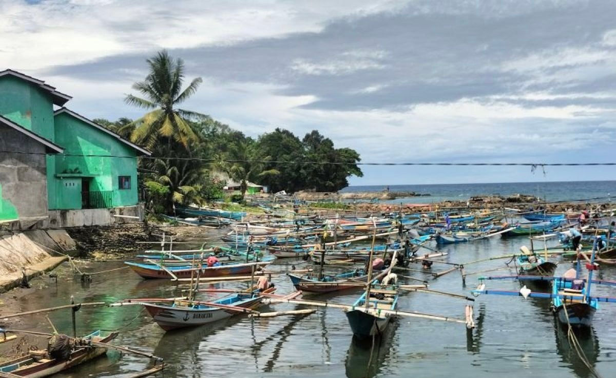 KNMP Lampung Selatan Dongkrak Nilai Ikan hingga Rp14.000 per Kg