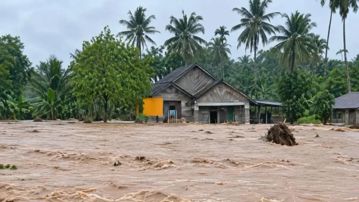 Update Banjir Padang: BNPB Rilis Data Pengungsi dan Kerusakan Rumah Warga