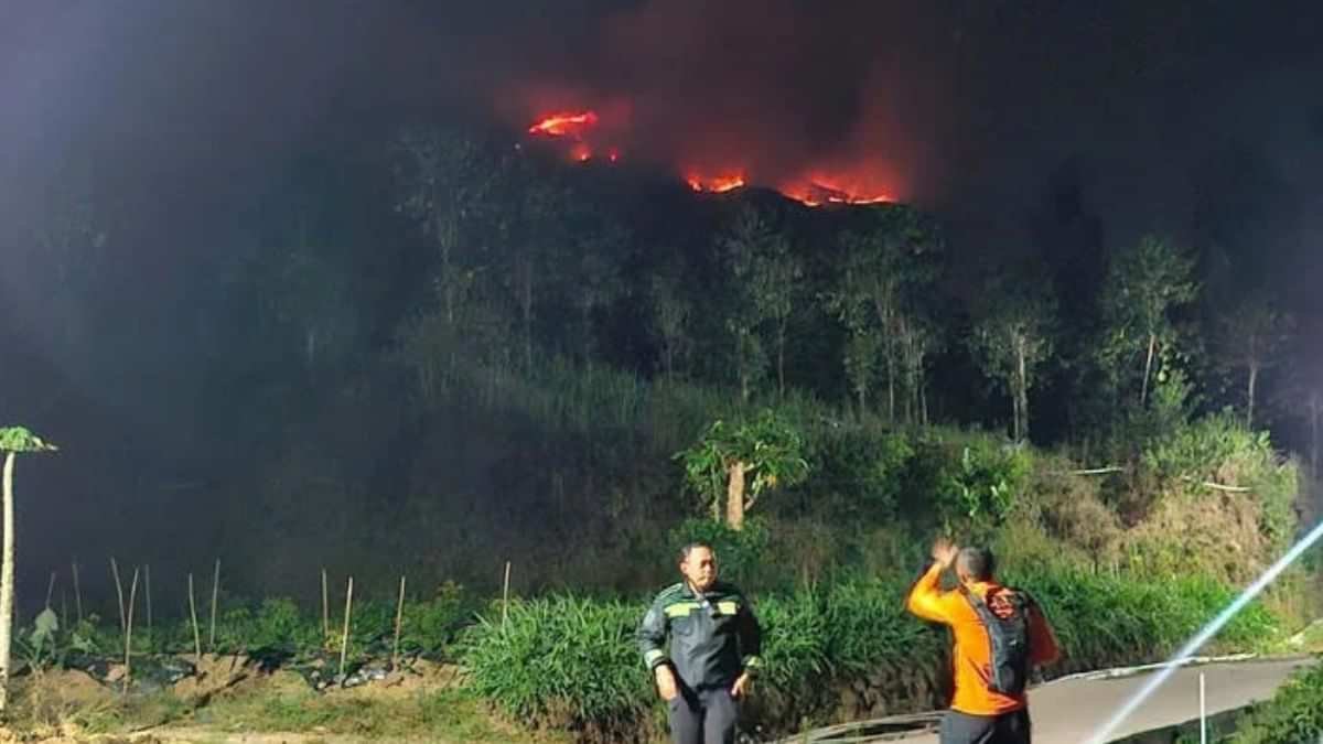 Antisipasi Karhutla Meluas, Pendakian Gunung Sumbing Ditutup Total