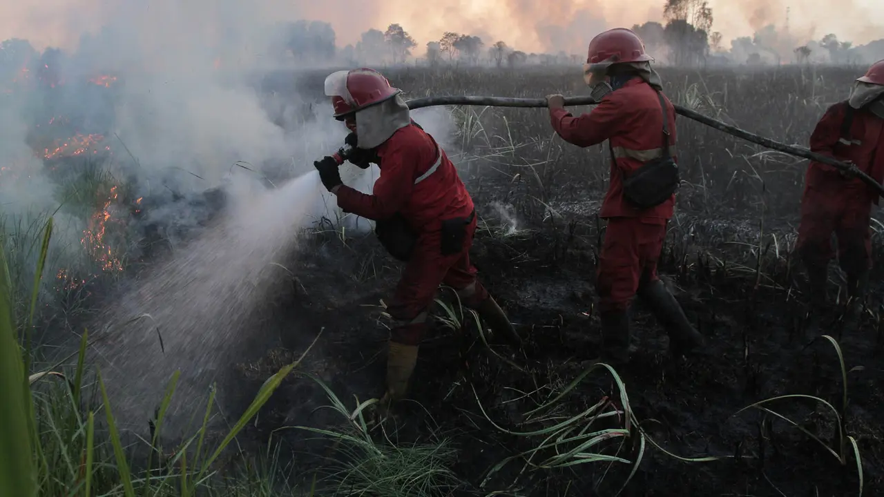 Tim Gabungan Pacu Pemadaman 502 Hektare Lahan Karhutla di 6 Provinsi